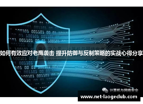 如何有效应对老鹰袭击 提升防御与反制策略的实战心得分享