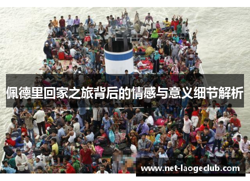 佩德里回家之旅背后的情感与意义细节解析