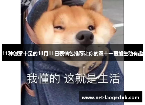 11种创意十足的11月11日表情包推荐让你的双十一更加生动有趣