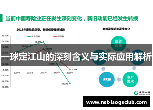 一球定江山的深刻含义与实际应用解析