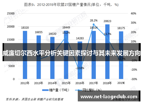 威廉切尔西水平分析关键因素探讨与其未来发展方向