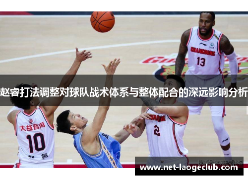 赵睿打法调整对球队战术体系与整体配合的深远影响分析